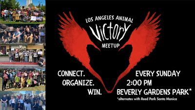 Animal Victory Meetup - Abolish Fur