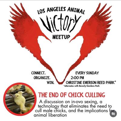 LOS ANGELES ANIMAL VICTORY MEETUP