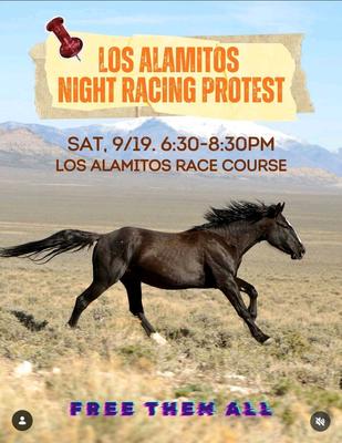 LOS ALAMITOS NIGHT RACING PROTEST