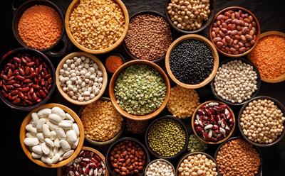 10 Foods To Heal Your Gut, According To A Gastroenterologist