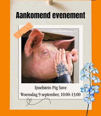 Ijsselstein Pig Save