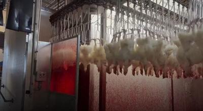 Whistleblowers: PETA Offers $10K Reward for Tips on Repackaged or Mislabeled Meat