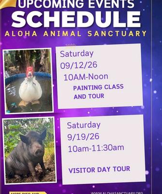 COME CREATE & CONNECT AT ALOHA ANIMAL SANCTUARY!