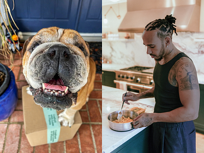 Formula One Champion Lewis Hamilton Invests in ‘Vet-Formulated’ Vegan Pet Food Startup