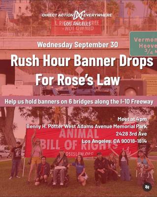 Rush Hour Banner Drops For Rose's Law