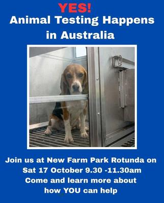 YES! Animal Testing Happens in Australia