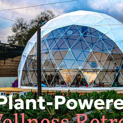 The Plant-Powered Wellness Retreat