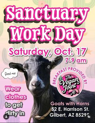 Sanctuary Work Day