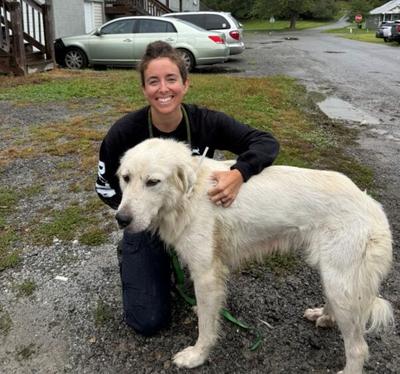 PETA Urgently Seeks Adopters, Fosters for 10 Dogs Rescued From Chains and Pens