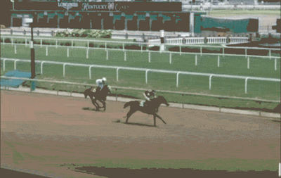 Breaking: Racetracks Don’t Meet Tripadvisor’s Animal Welfare Standards