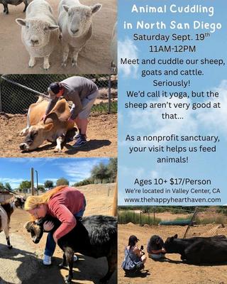 Animal Cuddling Yoga North San Diego