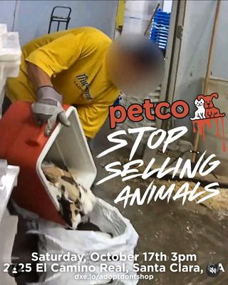 PETCO STOP SELLING ANIMALS