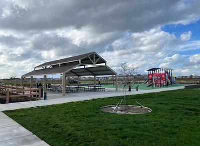 Lathrop Vegan Community - Social Meetup at Lion's Park, Lathrop CA