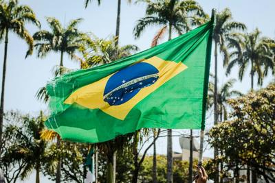 Brazil Adds Alternative Proteins to Treasury-Backed Innovation Fund Auction