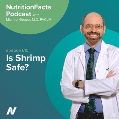 Is Shrimp Safe?