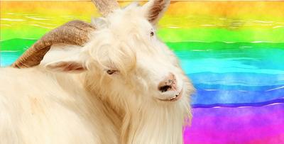 MUST-SEE: Why Brands Are Ditching Mohair After PETA’s Exposés