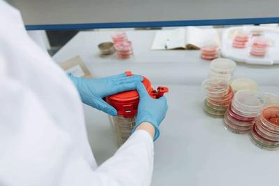 Food-Specific Protein Factors Lower Calculated Protein by up to 20%, New Database Finds