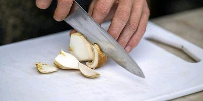 Sussex Fungi Foraging Walk with vegan Lunch Full Day Forage