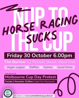 NUP TO THE CUP HORSE RACING SUC#S