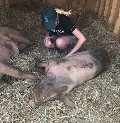 Ironwood Pig Sanctuary Tour