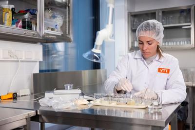 VTT Closes €3M Plant Ingredient Project With Oat Fibre Patent and Legume Flavour Treatment