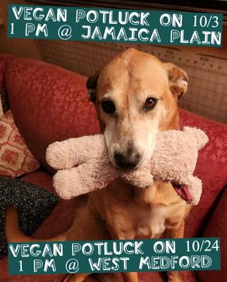 VEGAN POTLUCK