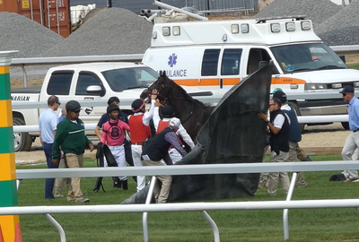 Fatal Breakdown at Belmont Park: Horse Breaks Bones, Euthanized on Track
