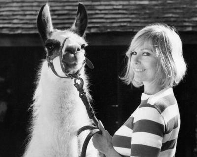 Exclusive: Hollywood Legend Kim Novak Shares Stories of Remarkable Animal Friendships