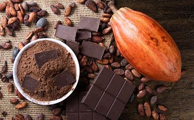 Scientists Discover More Sustainable ‘Healthy Chocolate’