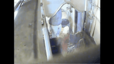 Bombshell Report: Federally Protected Wild Horses Are Entering Canada’s Slaughter Pipeline