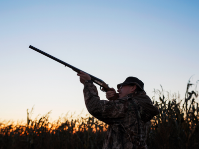 Lead gunshot to be phased out across the European Union