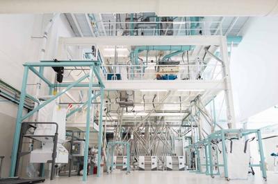 MOA Foodtech Partners With Cereal Innovation Centre to Validate Egg Replacer for Industrial Bakeries