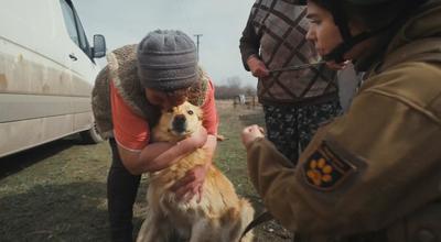 They Head Into Ukraine’s Active War Zones to Save Animals. See Their Story in ‘RESCUE’