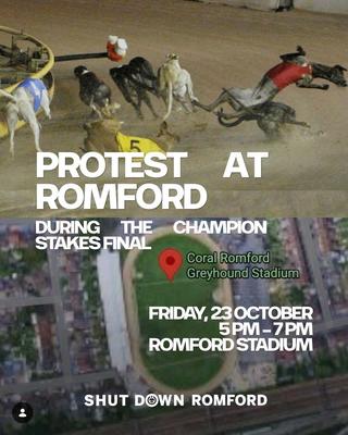 PROTEST AT ROMFORD DURING THE STAKES FINALCHAMPION