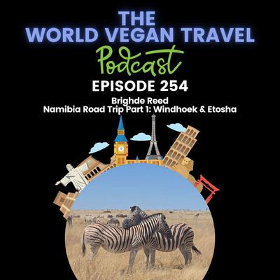 Namibia Road Trip Part 1: Windhoek & Etosha | Brighde Reed