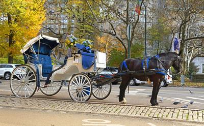New York City Expected To Ban Horse-Drawn Carriages From 2028