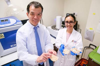 Oyster Mushroom Mycelium Lifts Okara Protein to 30% in NTU Lab Study