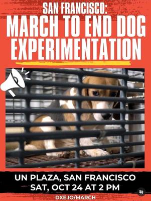 MARCH TO END DOG EXPERIMENTATION