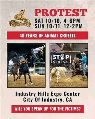 PROTEST 40 YEARS OF ANIMAL CRUELTY
