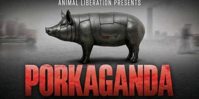 Porkaganda | Sunday 1 November
