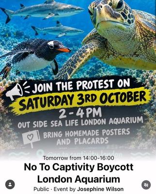 No To Captivity Boycott London Aquarium