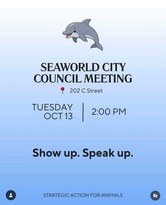 SEAWORLD CITY COUNCIL MEETING