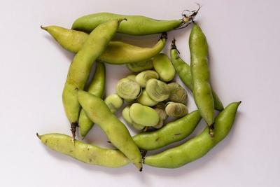 Bacterial Fermentation Raises Lysine Content of Faba Beans More Than Threefold