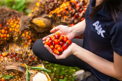 AAK Brings Lab-Developed Fractionation Process to Commercial Production for Chocolate Fats