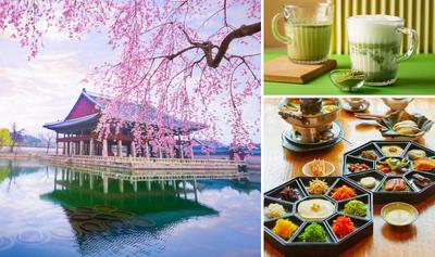 7 Unforgettable Days in South Korea: The Ultimate Vegan Guide