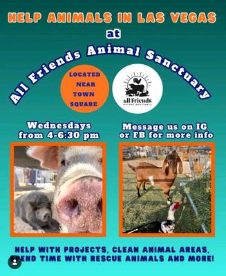 HELP ANIMALS IN LAS VEGAS
