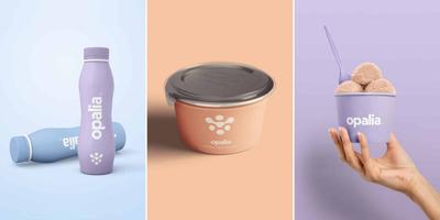 Opalia Sells First Production Batch of Cell-Based Whole Milk to Dutch Investor Hoogwegt