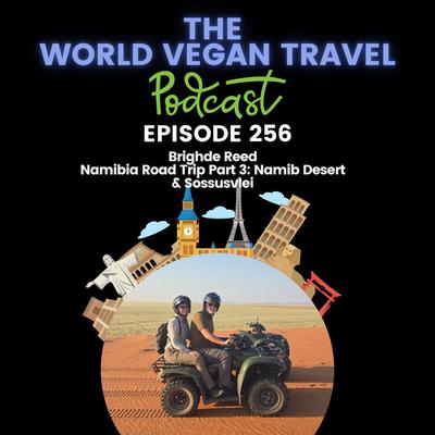Namibia Road Trip Part 3: Namib Desert & Sossusvlei | Brighde Reed