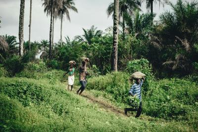 Just 0.8% of Climate Finance Reaches Smallholders, Ministers Tell UN Biodiversity Summit
