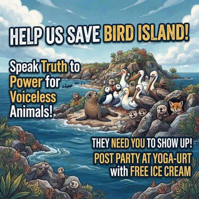 URGENT: Help us SAVE BIRD ISLAND - Speak Up for LA Wildlife!